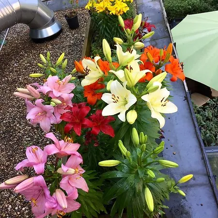 Hotel Landmark Am Kracauerplatz 2*