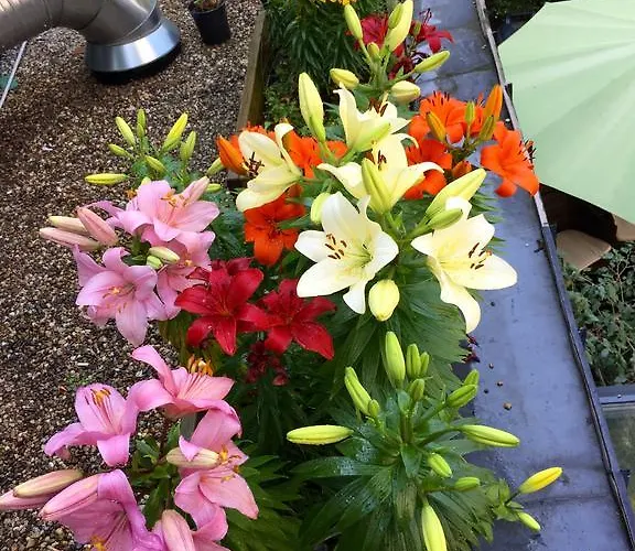 Hotell Landmark Am Kracauerplatz 2*